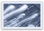 elfpond_thumbs_05