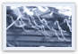 elfpond_thumbs_14